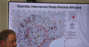 El Govern reforça l’operatiu contra la pesta porcina africana amb 15 agents, 17 efectius de drons i 132 membres d’ADF