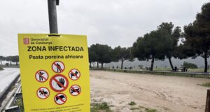 Ordeig agraeix el respecte “molt majoritari” de les restriccions d’accés a Collserola per contenir la PPA