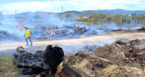 Els bombers activen 37 serveis per incendis de vegetació durant l’episodi de ventades