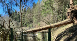 Protecció Civil envia un ES-Alert a sis comarques per demanar que diumenge s’evitin les activitats a l’exterior pel vent