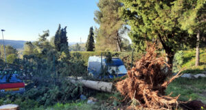 El 112 rep 376 trucades pel fort vent fins a les 11 hores, la majoria a l’Empordà