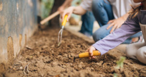 Premià de Mar llança la iniciativa ‘Primavera Rebonica’ per embellir la ciutat