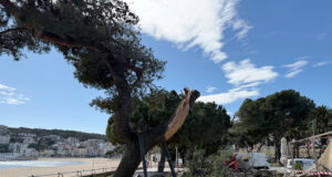 Protecció Civil finalitza l’alerta per les ventades però avisa que encara afectaran el nord-oest de Catalunya