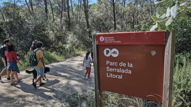 noticia_1782220714.jpg