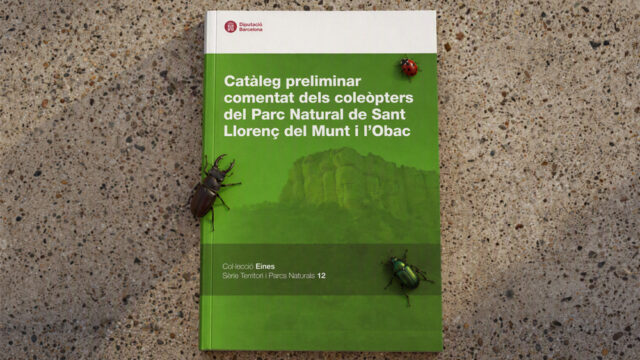 noticia_1793110704.jpg
